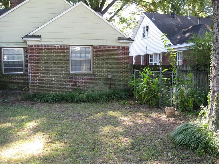 BACK YARD