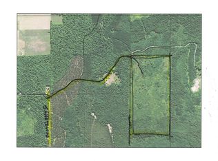 Sandtown Rd, Curtis, MI 49820