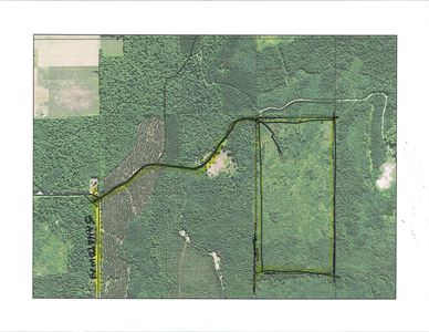 Sandtown Rd, Curtis, MI, 49820