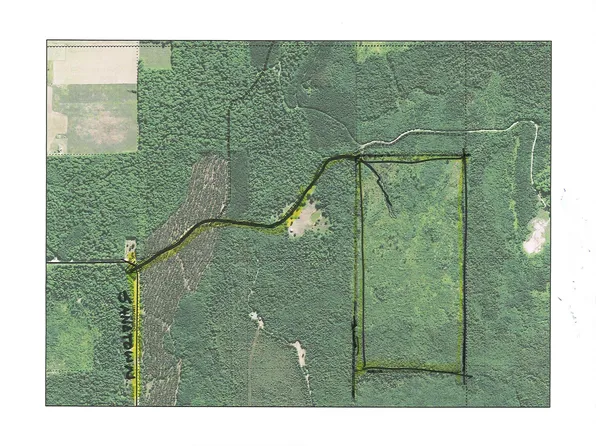 Sandtown Rd, Curtis, MI 49820