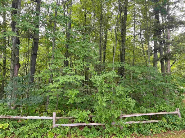 N1012 Grey Eagle Rd Lot 49, Keshena, WI 54135
