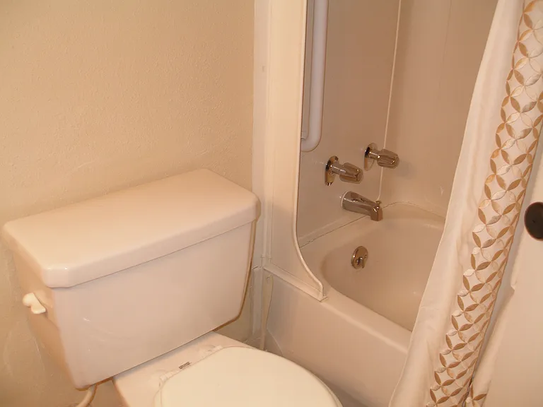 The 2nd bathroom