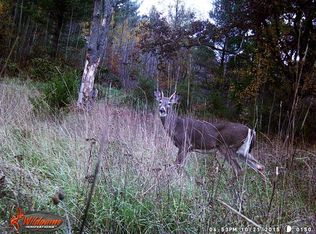 6121 E Sixteen Mile Rd, Reed City, MI 49677