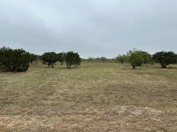 470 Frog Branch Ct, Graford, TX 76449