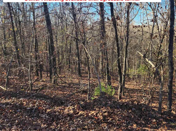 L63-64 Miami Trce #B, Cherokee Village, AR 72529