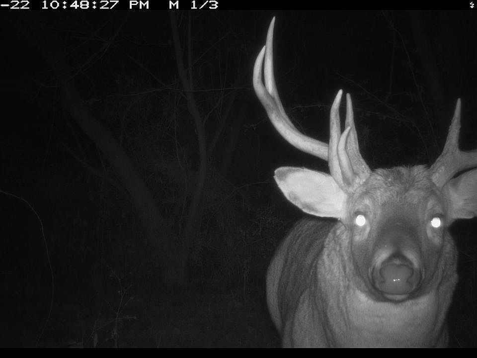 1st image of 00 Wheat Hollow Road