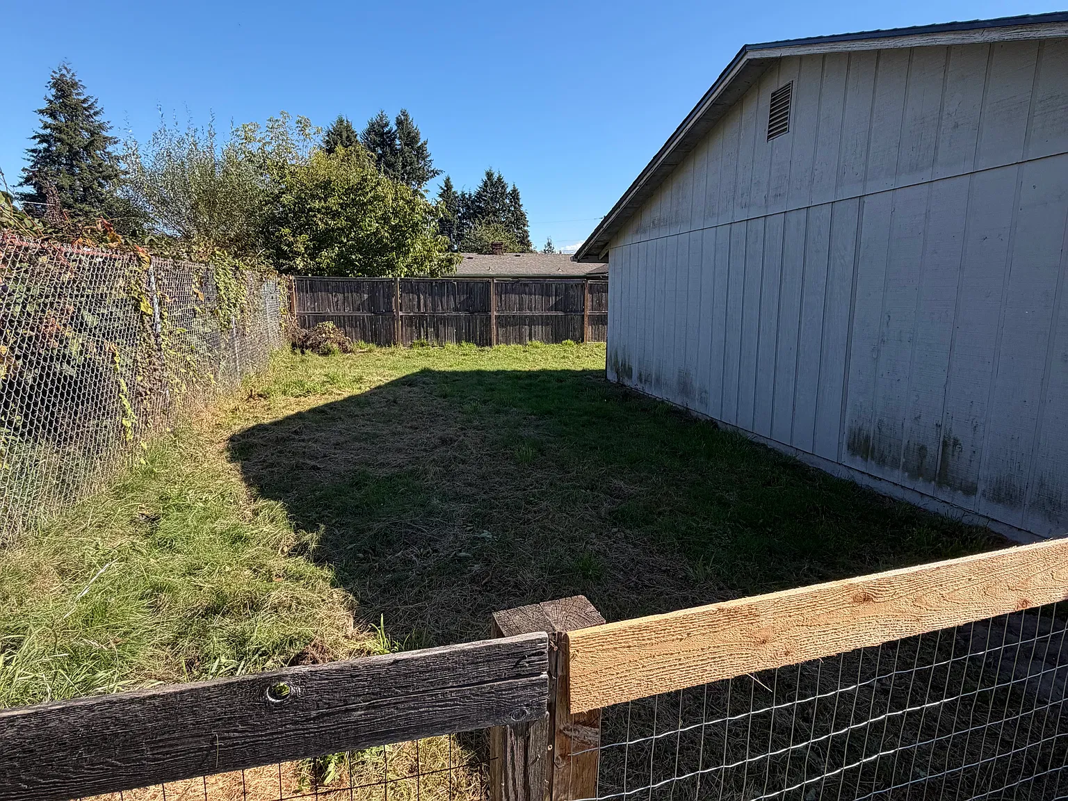 2 bed, 850 sqft, $1,100 — Photo 2