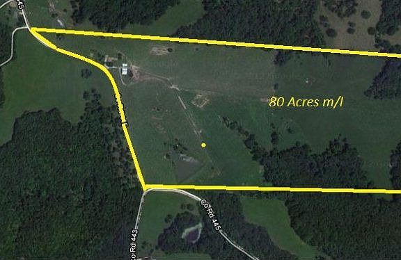 2nd image of 10134 County Road 445