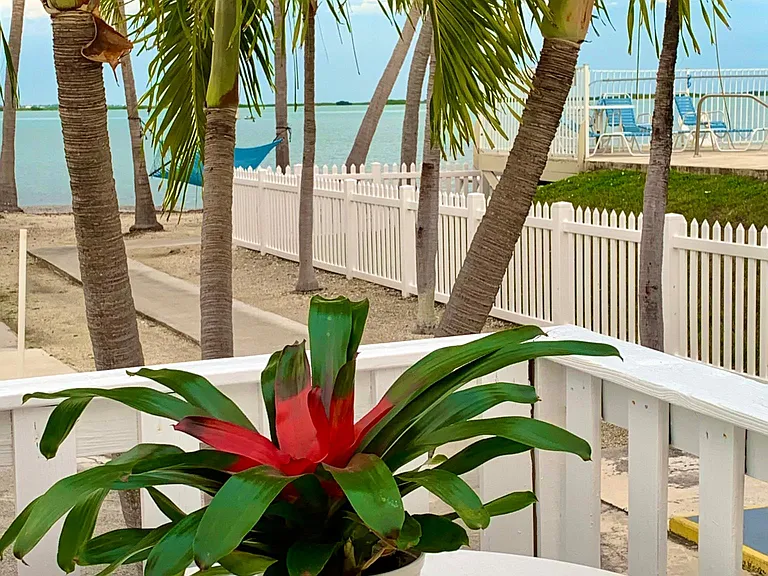 55 Boca Chica Rd #105 — Photo 36