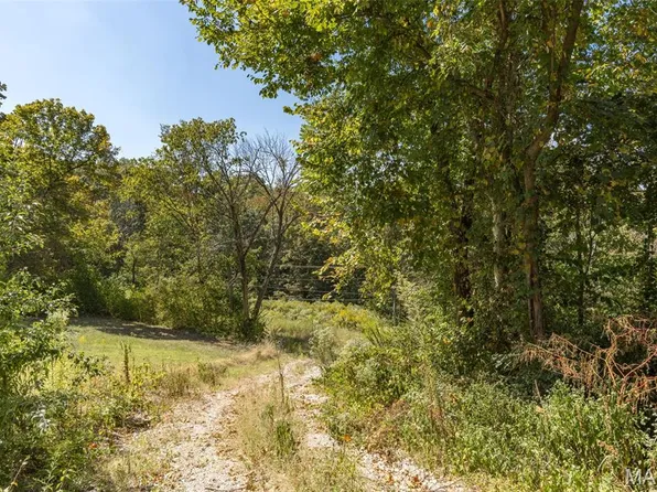 Lots 3 & 4 Theodoro Acres, Festus, MO 63028