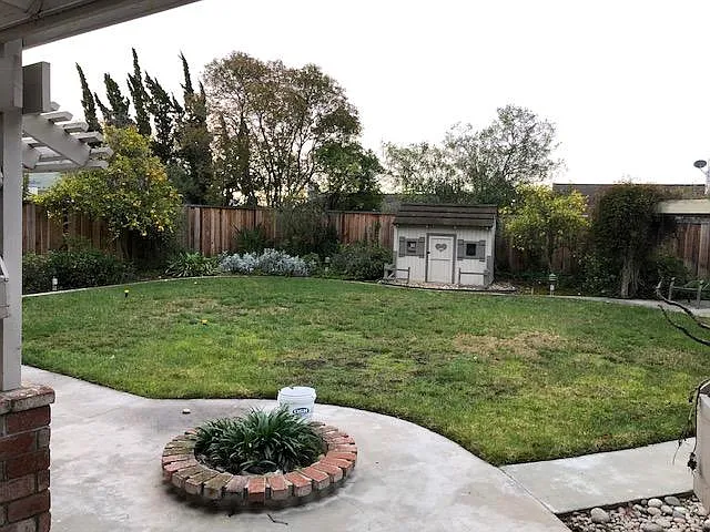 backyard with shed