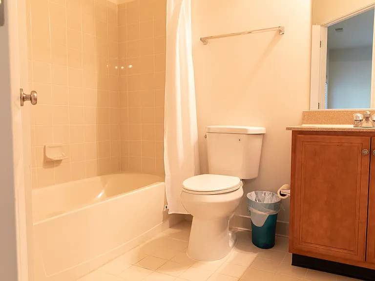 Basement Bathroom