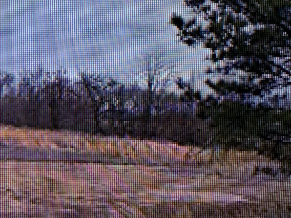 0 Kyle Rd, Senatobia, MS 38668