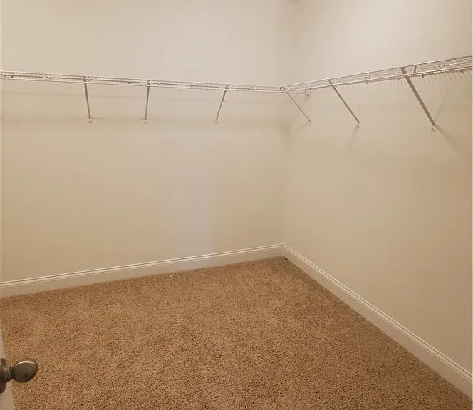 3108 Buckley Dr — Photo 21