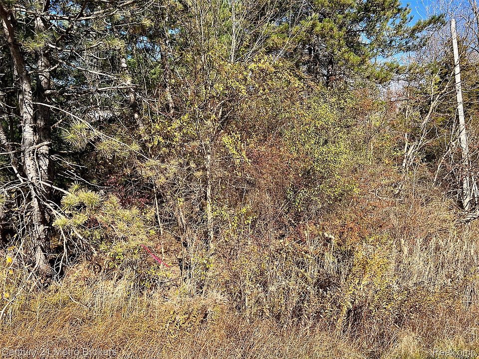 2nd image of 0 Corunna Rd