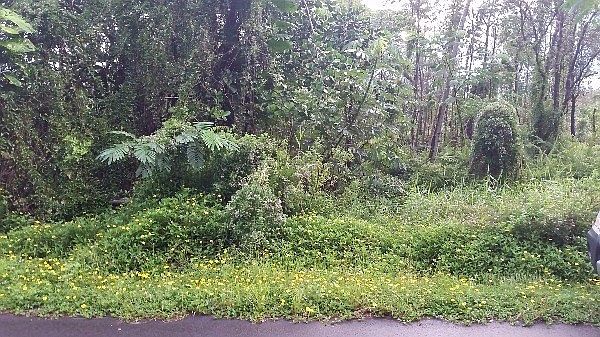 1st image of 24th Ave Lot 128