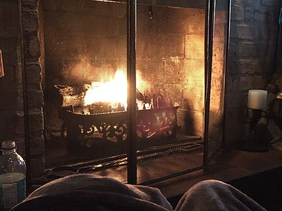 Wood burning fireplace