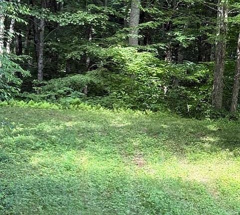 3rd image of 106 Avalon Gap Trl