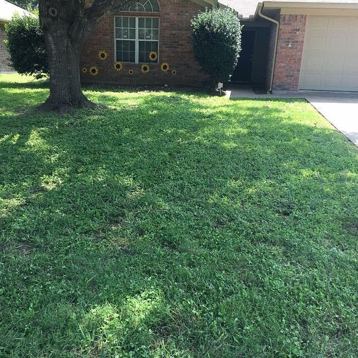 Front of the house