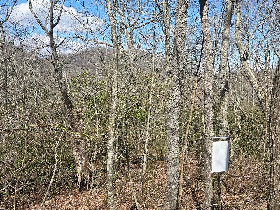 2nd image of 67 Wolf Knob Road