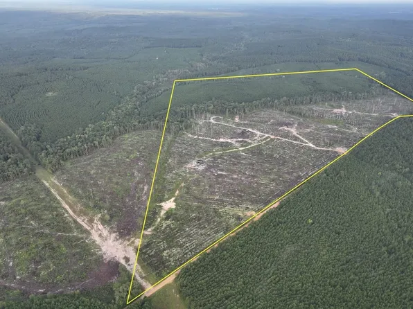 Red Rock Rd, Robeline, LA 71469