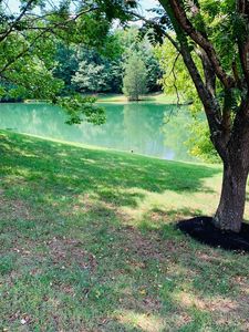 5104 Grand Oak Way, Brentwood, TN, 37027