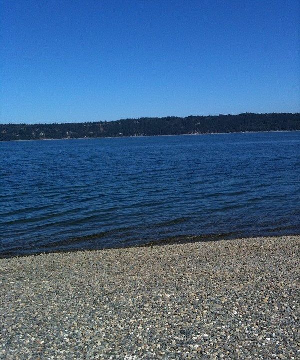 1st image of 3224 & 3226 Shoreline Dr