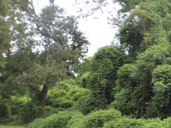 111 W Moore St, Dublin, GA 31021