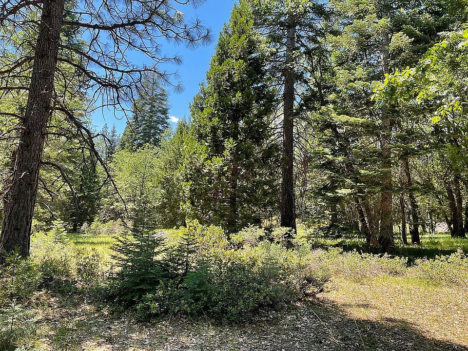1st image of Mount Shasta Dr