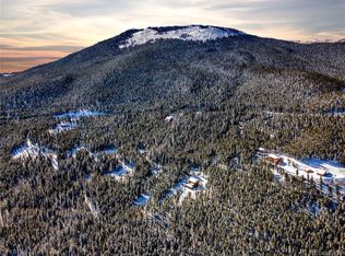 314 Sawmill Ln, Idaho Springs, CO 80452