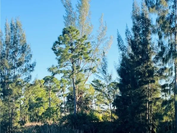 2645 NW 26th Pl, Cape Coral, FL 33993