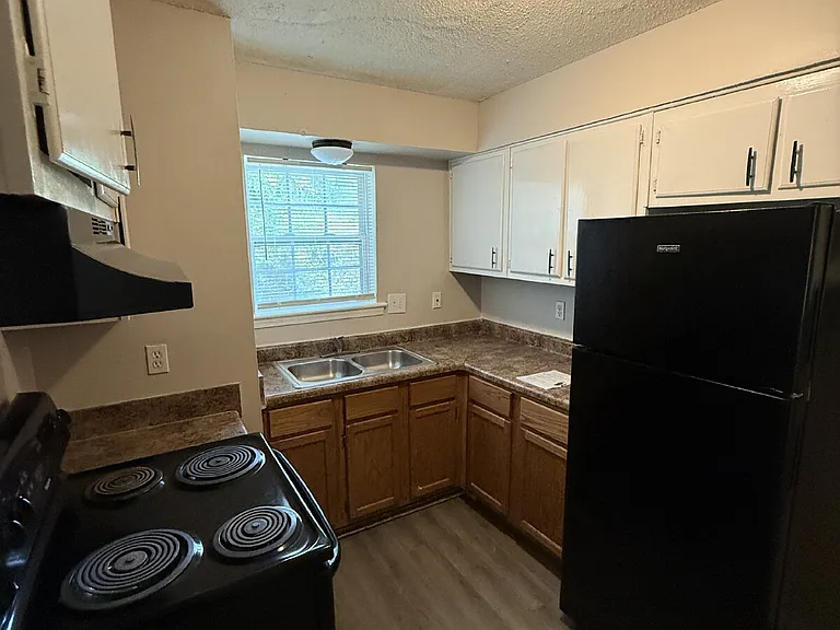 3386 Spring Water Cv — Photo 10