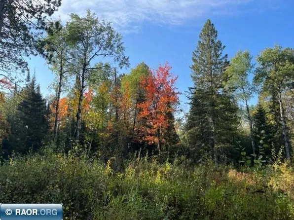 7343 Pelton Rd, Britt, MN 55710