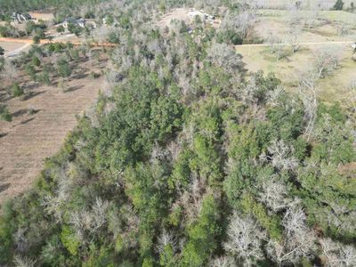 LOT 47 Arbor Ridge Rd, Milton, FL, 32571