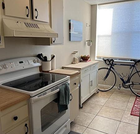 3rd image of 825 Egret Cir APT 401