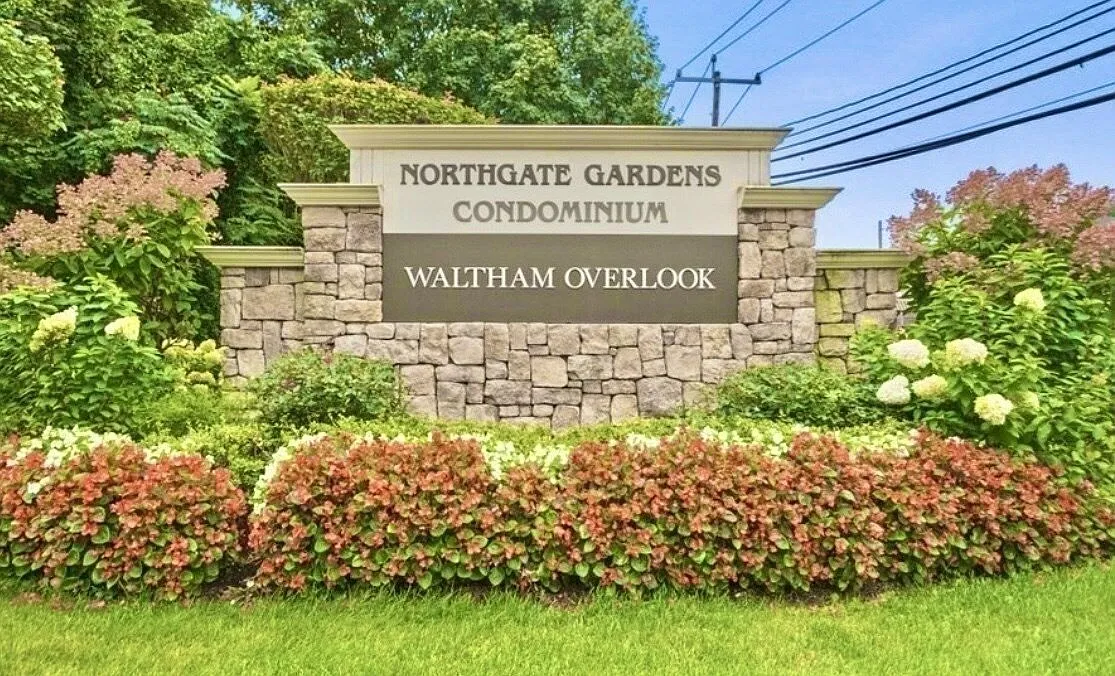 2 bed, 1.0 bath, 910 sqft, $2,600 — Photo 1
