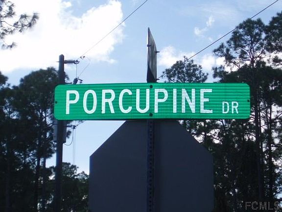 2nd image of 68 Porcupine Dr