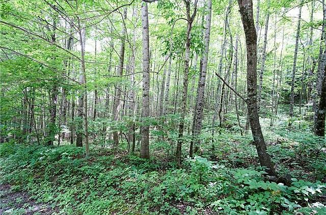 1st image of Lot 105 Serenity Mountain Rd #105