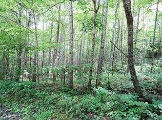 Lot 105 Serenity Mountain Rd #105, Waynesville, NC 28786