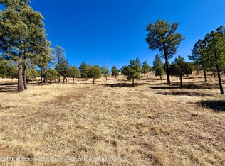 114 Charles McClellan Dr, Ruidoso, NM 88345