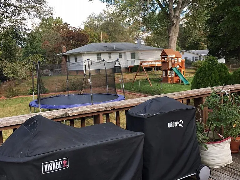 Backyard Photo 3
