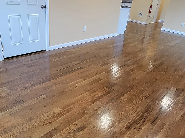 408 Niles St #2 — Photo 4