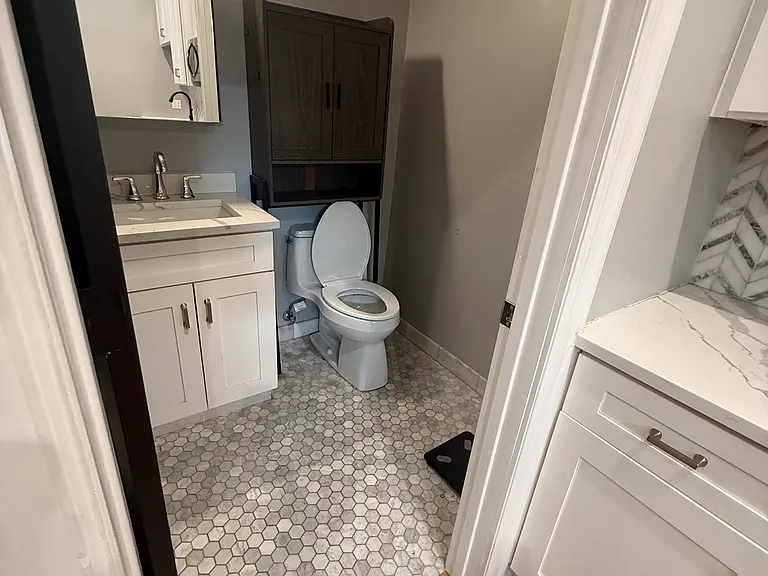 1856 S Blue Island Ave #2R — Photo 7