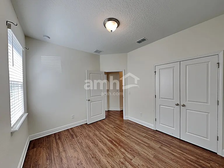 1306 Celery Palm Cv — Photo 15
