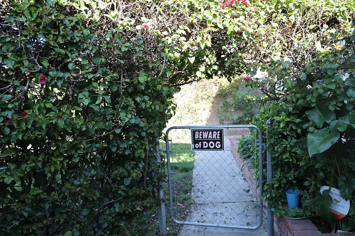 Yard gate - 19844 Schoolcraft St