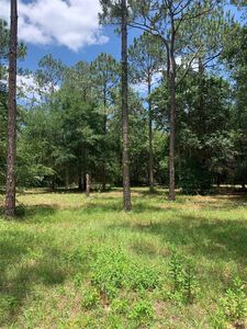 35735 High Pines Dr #48, Eustis, FL, 32736