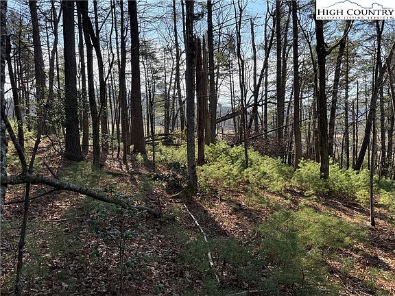 5th image of TBD Walden Lane