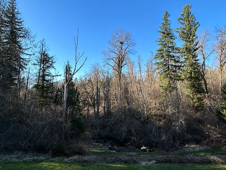 SE 216th Way — Photo 22