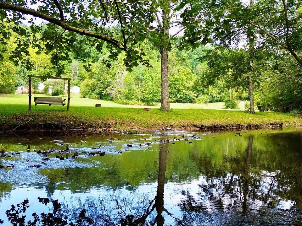Creek View
