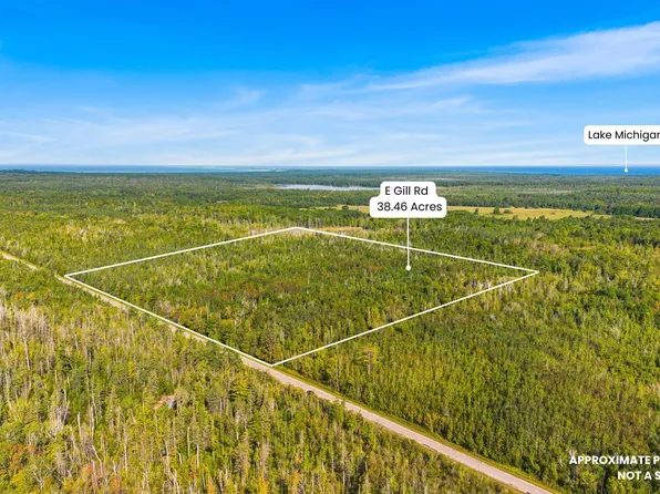 V/l 3846a E Gill Rd, Carp Lake, MI 49718